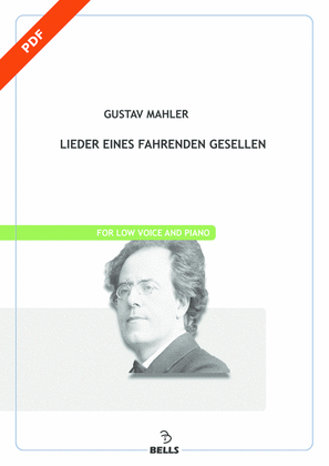 Book cover for Lieder eines fahrenden Gesellen