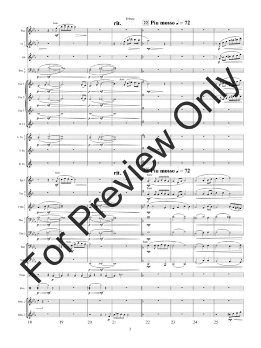Tribute Concert Band scores gallery preview page 6