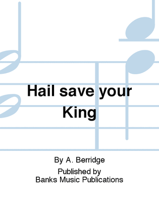 Book cover for Hail save your King