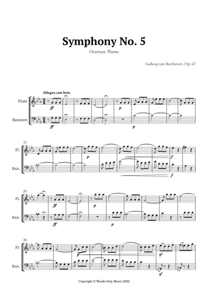 Symphony No. 5 by Beethoven for Flute and Bassoon image number null