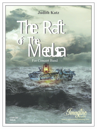 Book cover for The Raft of the Medusa