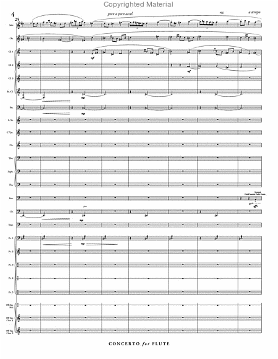 Concerto for Flute & Wind Ensemble Concert Band scores gallery preview page 5