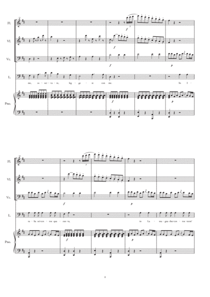 "Madamina, il catalogo è questo" (first part) - "Don Giovanni", Mozart - arr. for flute, violin, ce