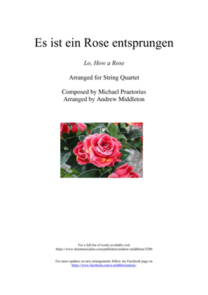 Es Ist Ein Rose Entsprungen arranged for String Quartet