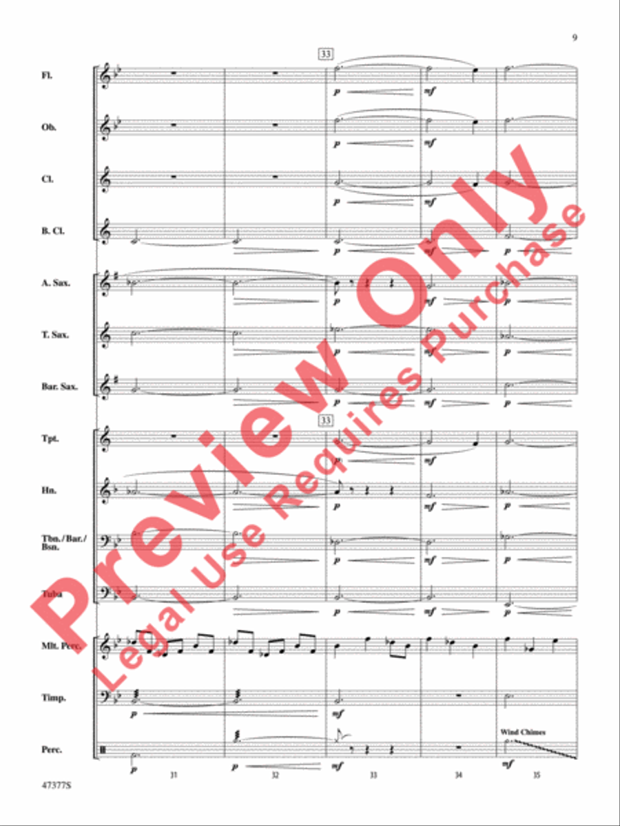 Salamander Eyes Salamander Eyes Concert Band scores gallery preview page 10