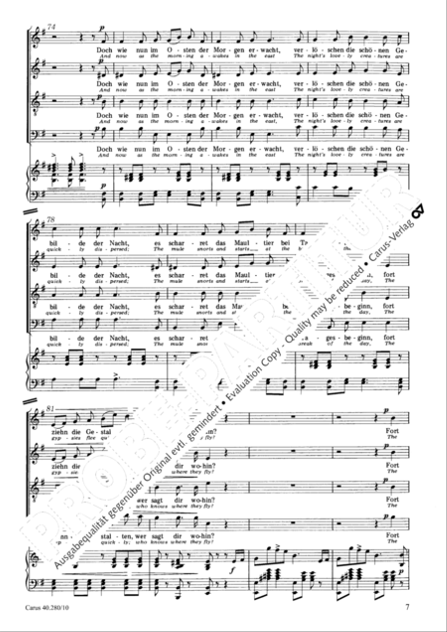 In forest and shadows (Zigeunerleben) 4-Part scores gallery preview page 8