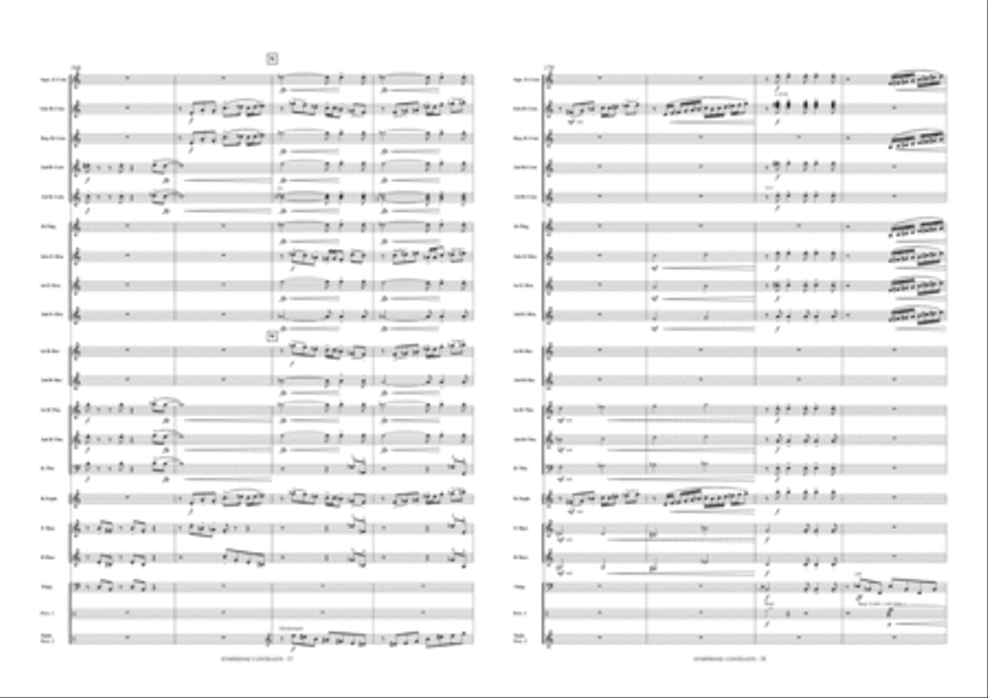 Symphonic Contrasts Symphonic Contrasts Brass Band scores gallery preview page 20