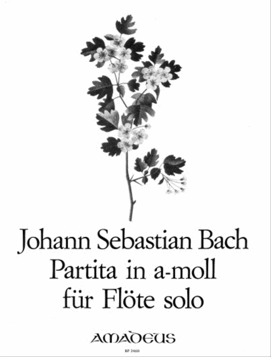 Partita A minor BWV 1013 Flute Solo scores gallery preview page 1