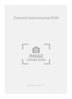 Book cover for Concert Instrumental Pj16