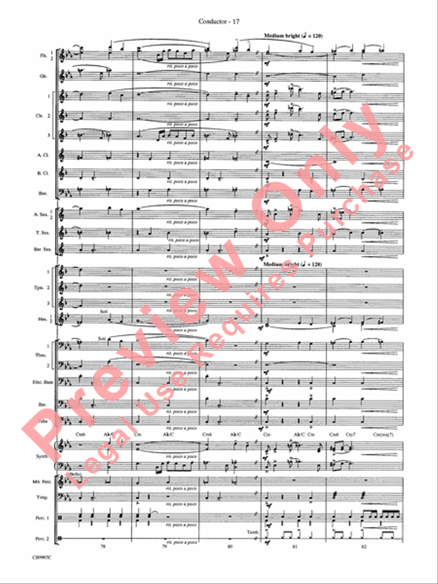 007 -- A James Bond Medley Concert Band scores gallery preview page 20