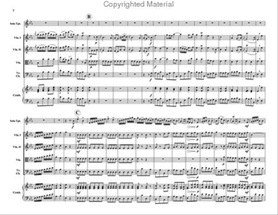 Concerto in Eb Chamber Orchestra scores gallery preview page 3
