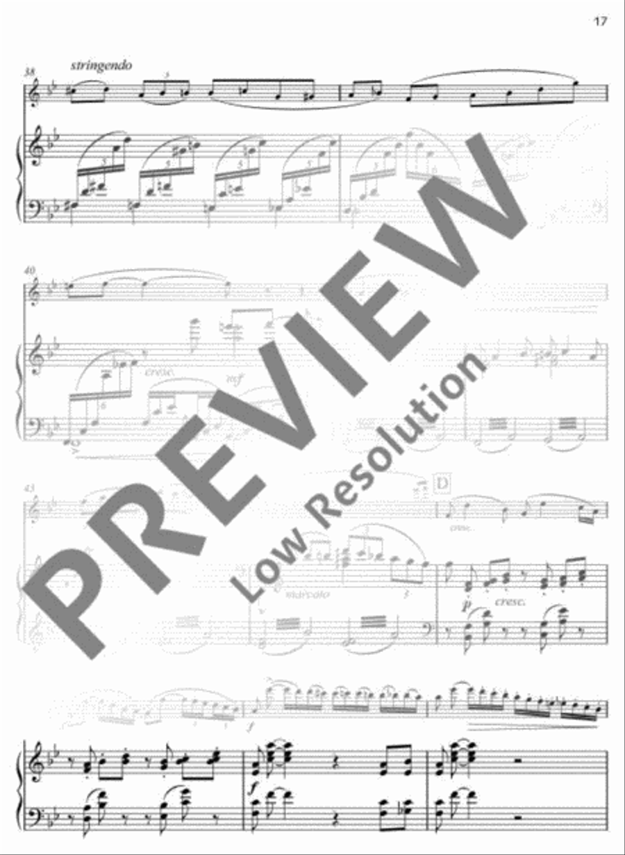 Concertino Flute Solo scores gallery preview page 18