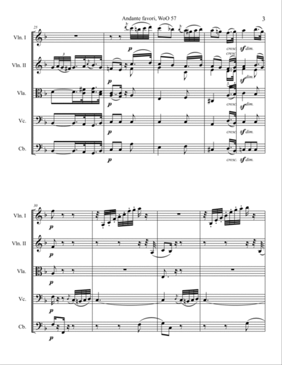 Andante Favori String Orchestra scores gallery preview page 3
