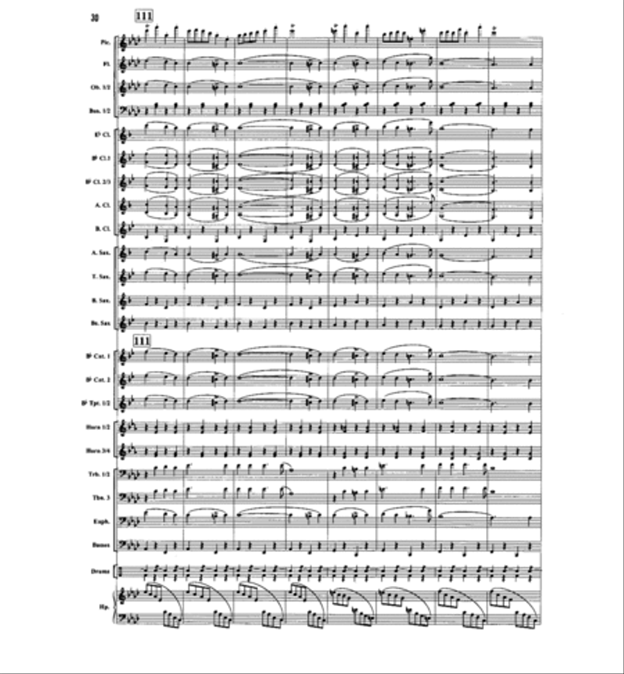The Stars and Stripes Forever Concert Band scores gallery preview page 14