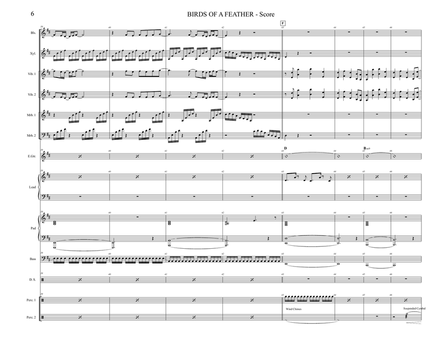 Birds Of A Feather Percussion Ensemble scores gallery preview page 6