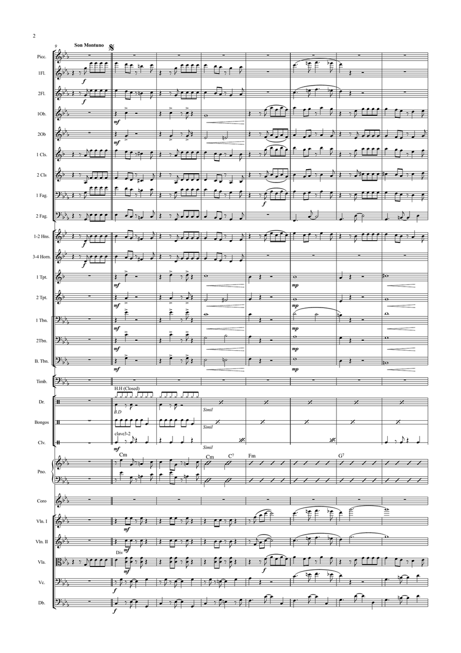 Lagrimas Negras Full Orchestra scores gallery preview page 2