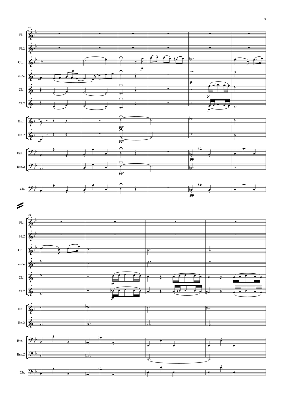 Albinoni: Adagio in G minor - symphonic wind dectet/bass Large Ensemble scores gallery preview page 3