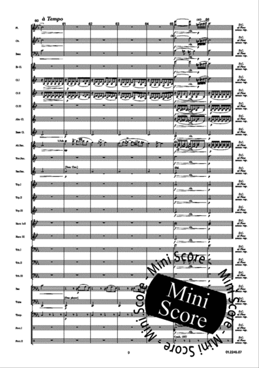 Danza Y Marcha Danza Y Marcha Concert Band scores gallery preview page 13