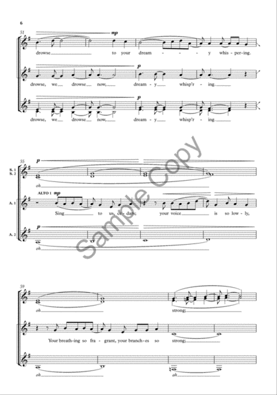 The Birds' Lullaby SSAA scores gallery preview page 6