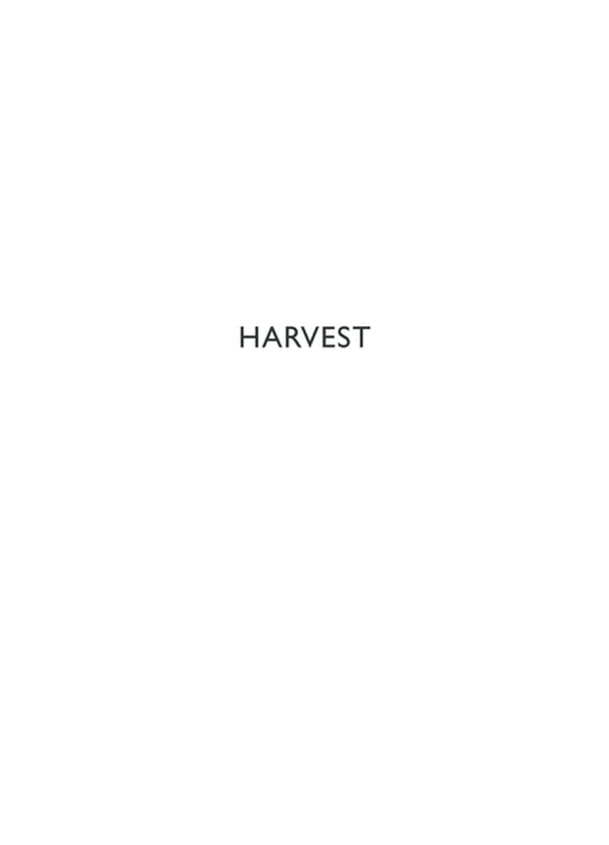 The Bumper Book of Resources (Volume 1): Harvest, All Saints, All Souls, & Remembrance