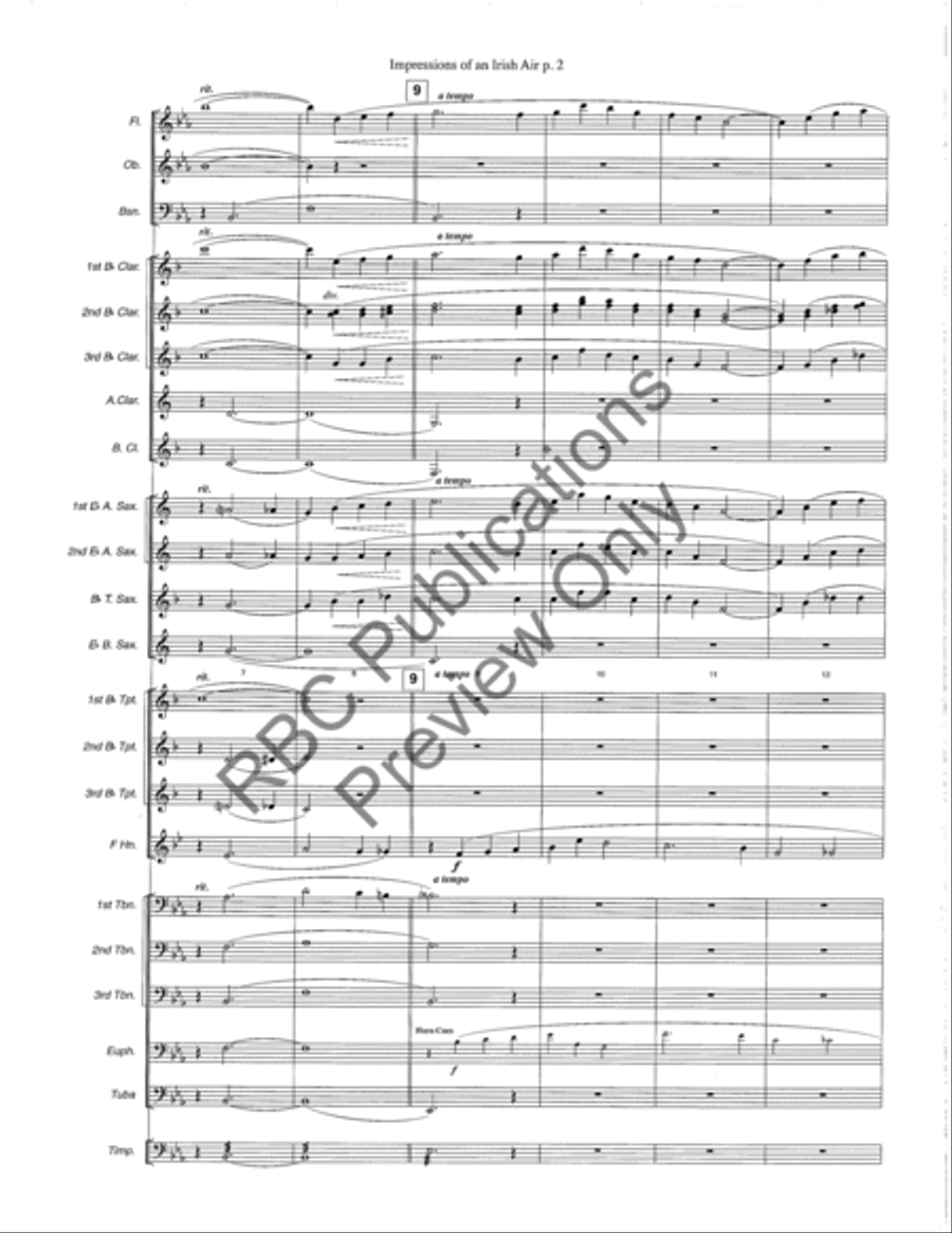 Impressions Of An Irish Air Concert Band scores gallery preview page 5