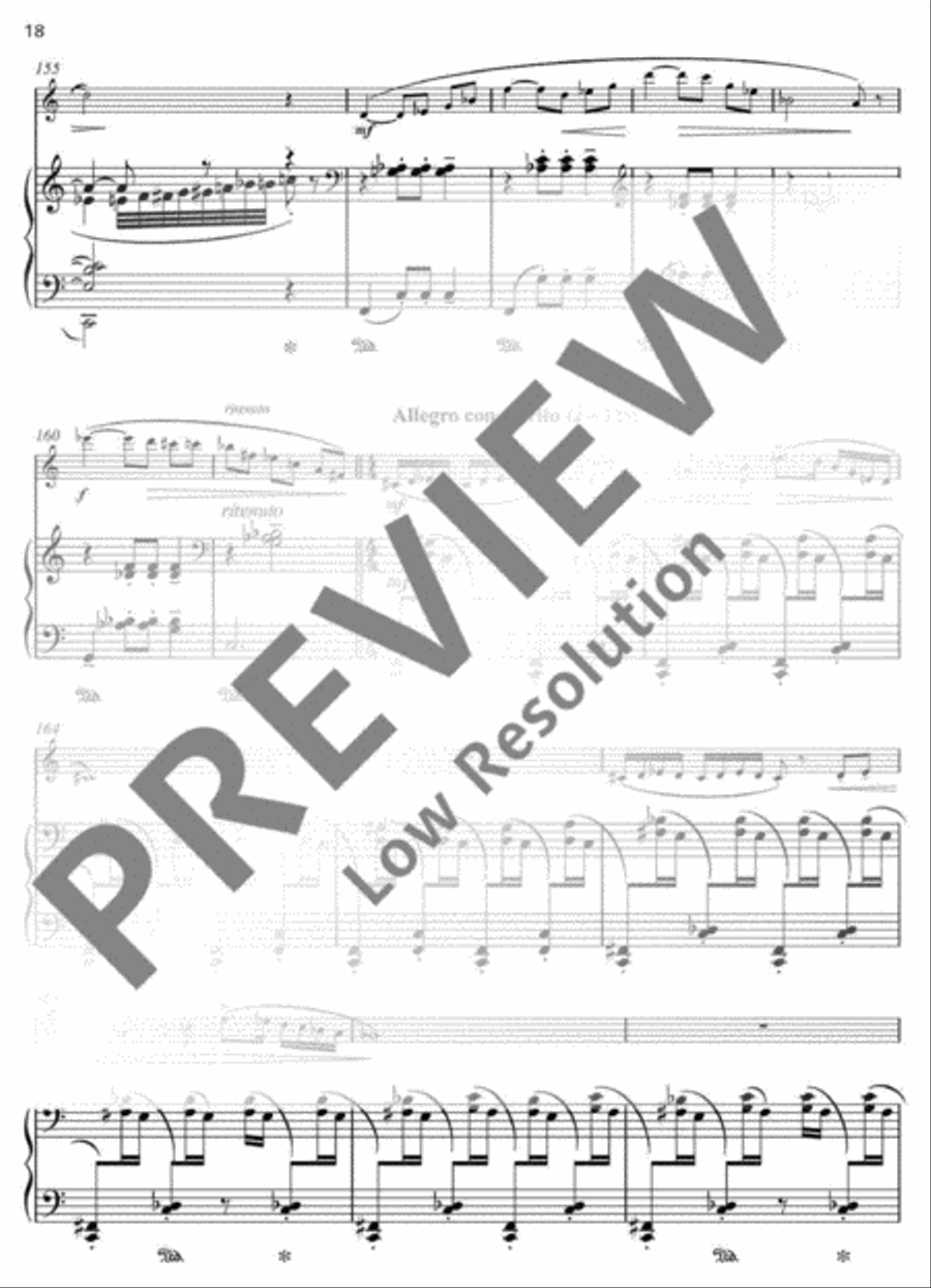 Our Lady's Minstrel B-Flat Clarinet scores gallery preview page 19