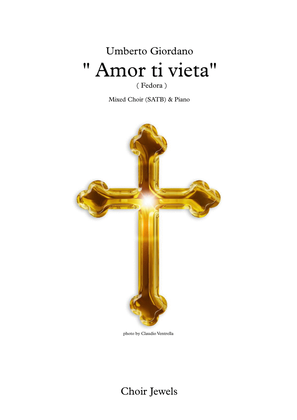Book cover for Amor ti vieta