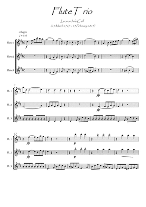 Flute Trio by Leonard de Call