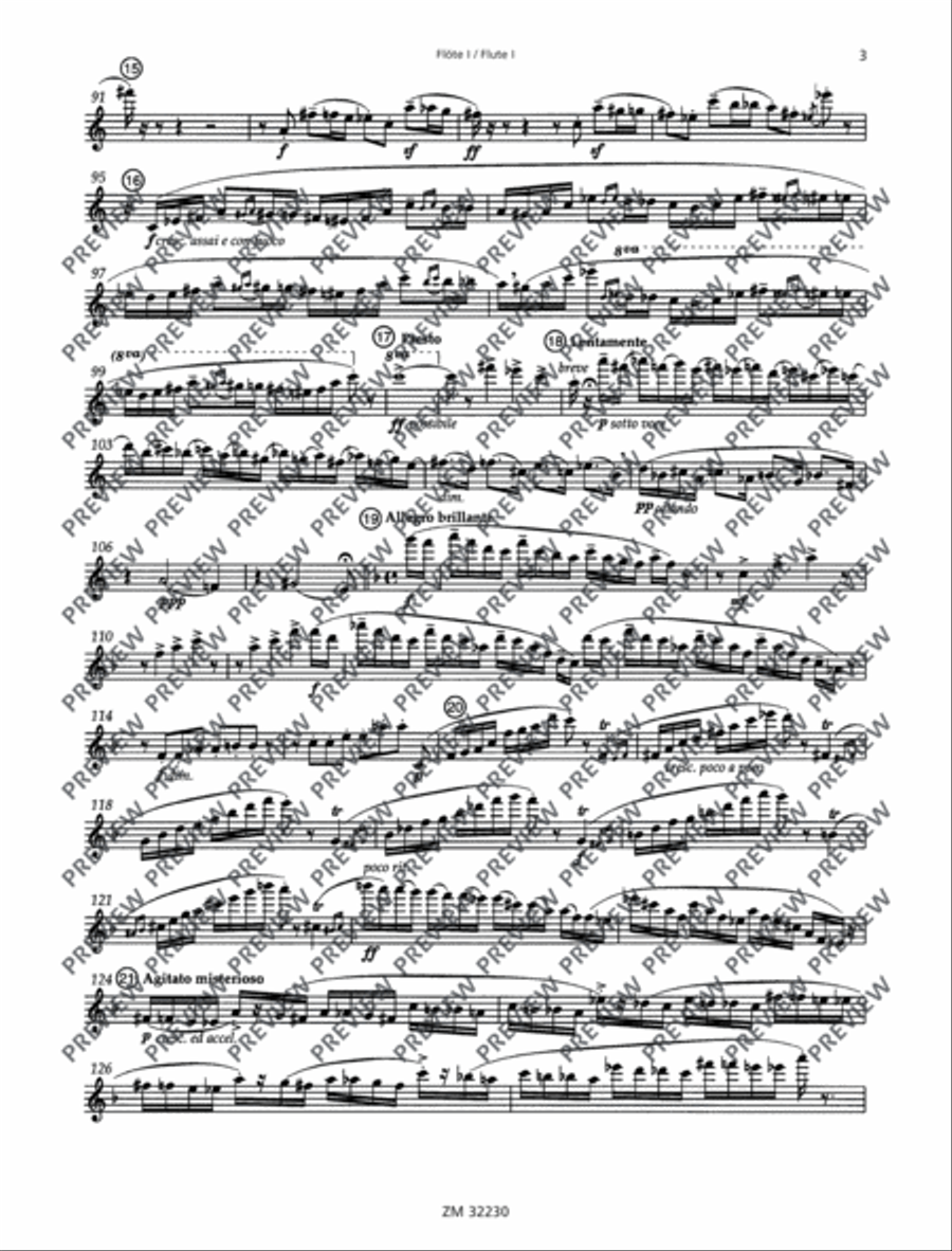 I tre virtuosi Flute Trio scores gallery preview page 20