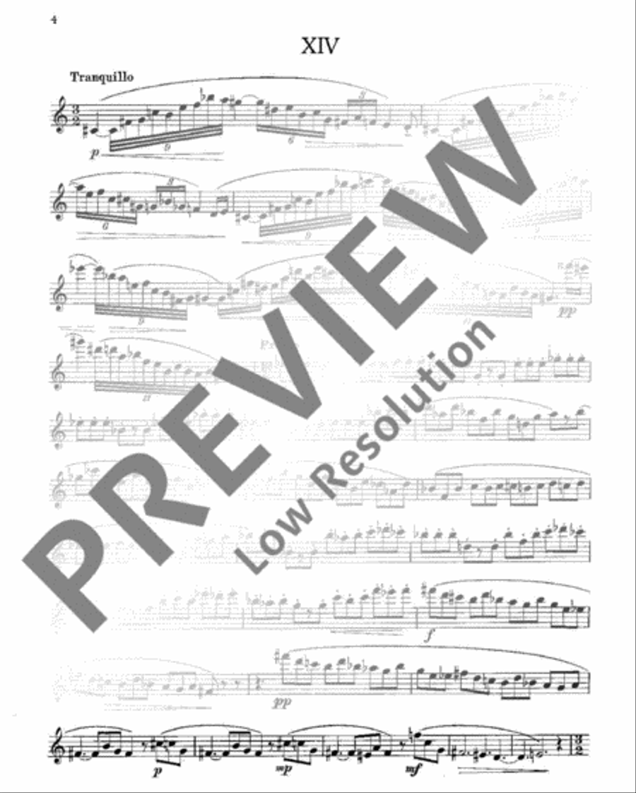 Modern Studies Flute Solo scores gallery preview page 5