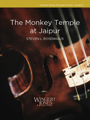 The Monkey Temple at Jaipur