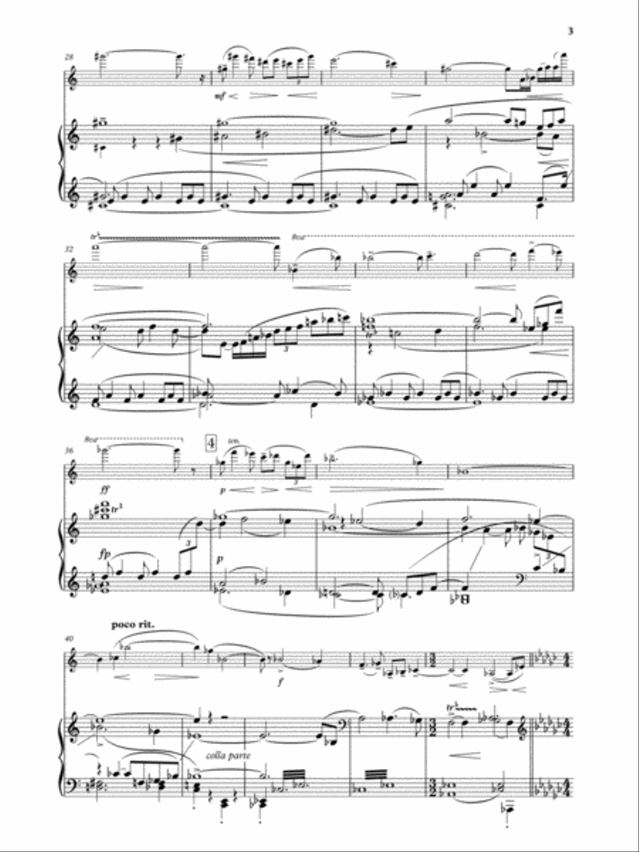 Violin Concerto Violin Solo scores gallery preview page 4