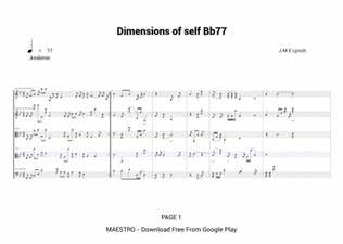 Dimensions of self Bb77