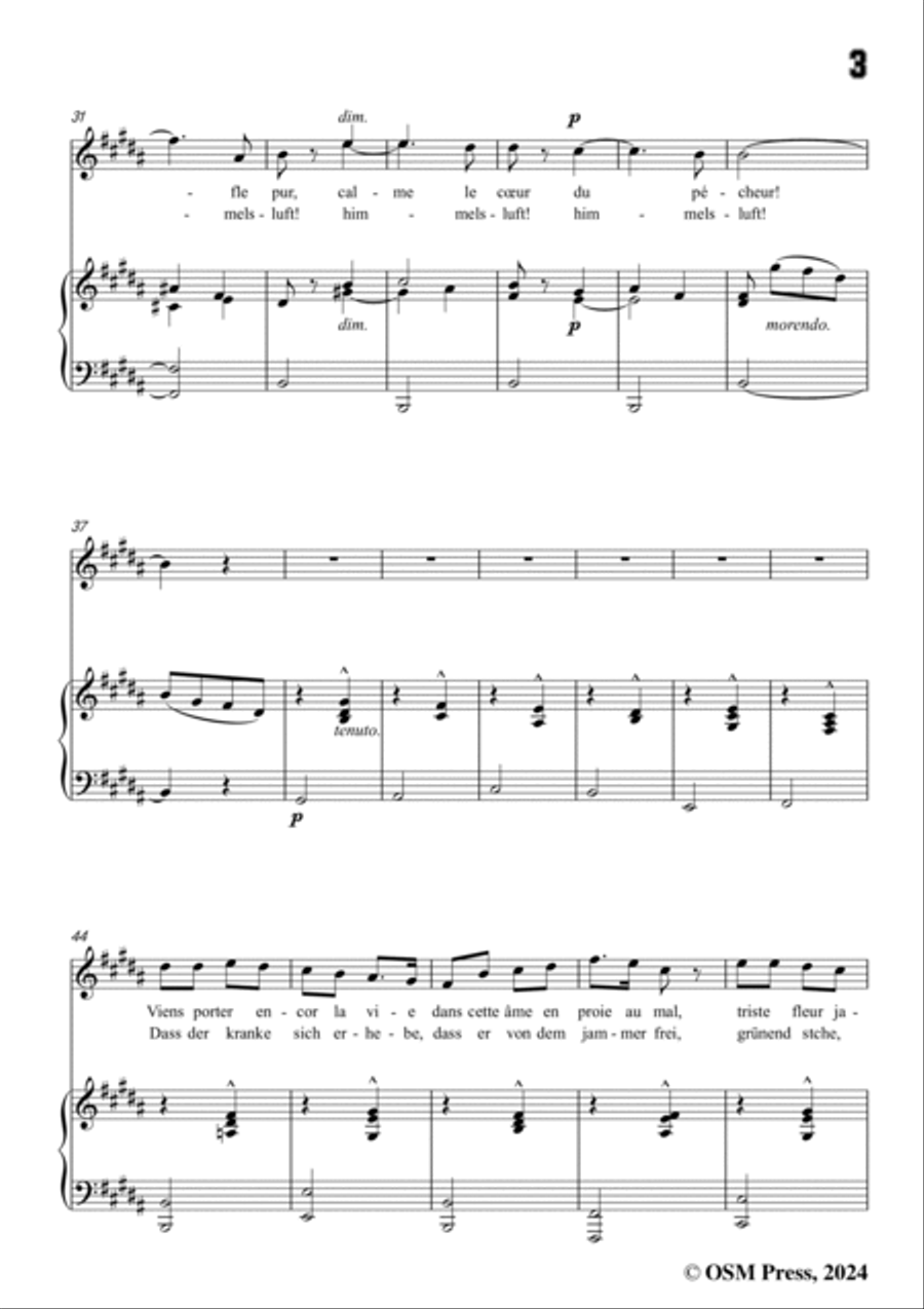 Meyerbeer-Luft von Morgen(Le pénitent),in B Major Voice scores gallery preview page 5