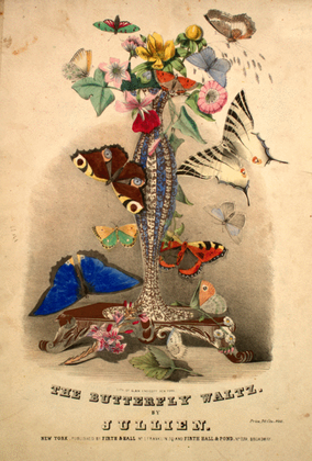 Book cover for The Butterfly Waltz