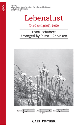 Book cover for Lebenslust