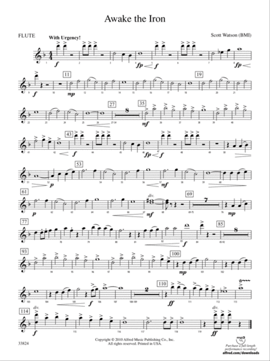 Awake the Iron: Flute Concert Band scores gallery preview page 1