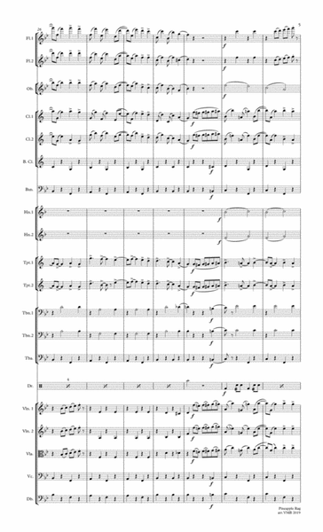 Pineapple Rag by Scott Joplin arr. for community orchestra image number null