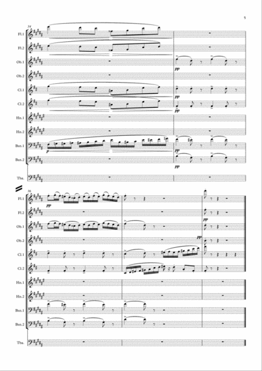 Mussorgsky: Pictures at an Exhibition Promenade and No.3 Tuileries (Children's quarrel after games)- Woodwind Quintet scores gallery preview page 5