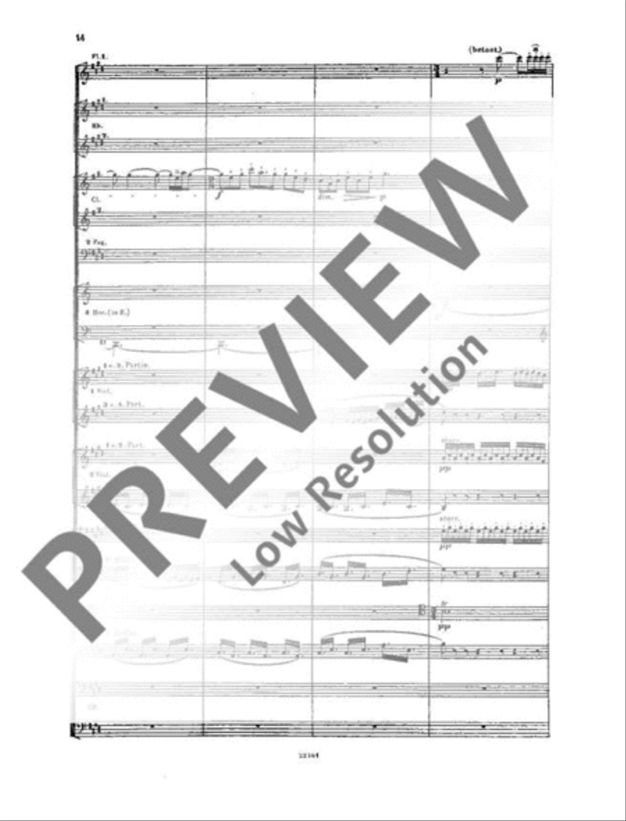 Siegfried Orchestra scores gallery preview page 17