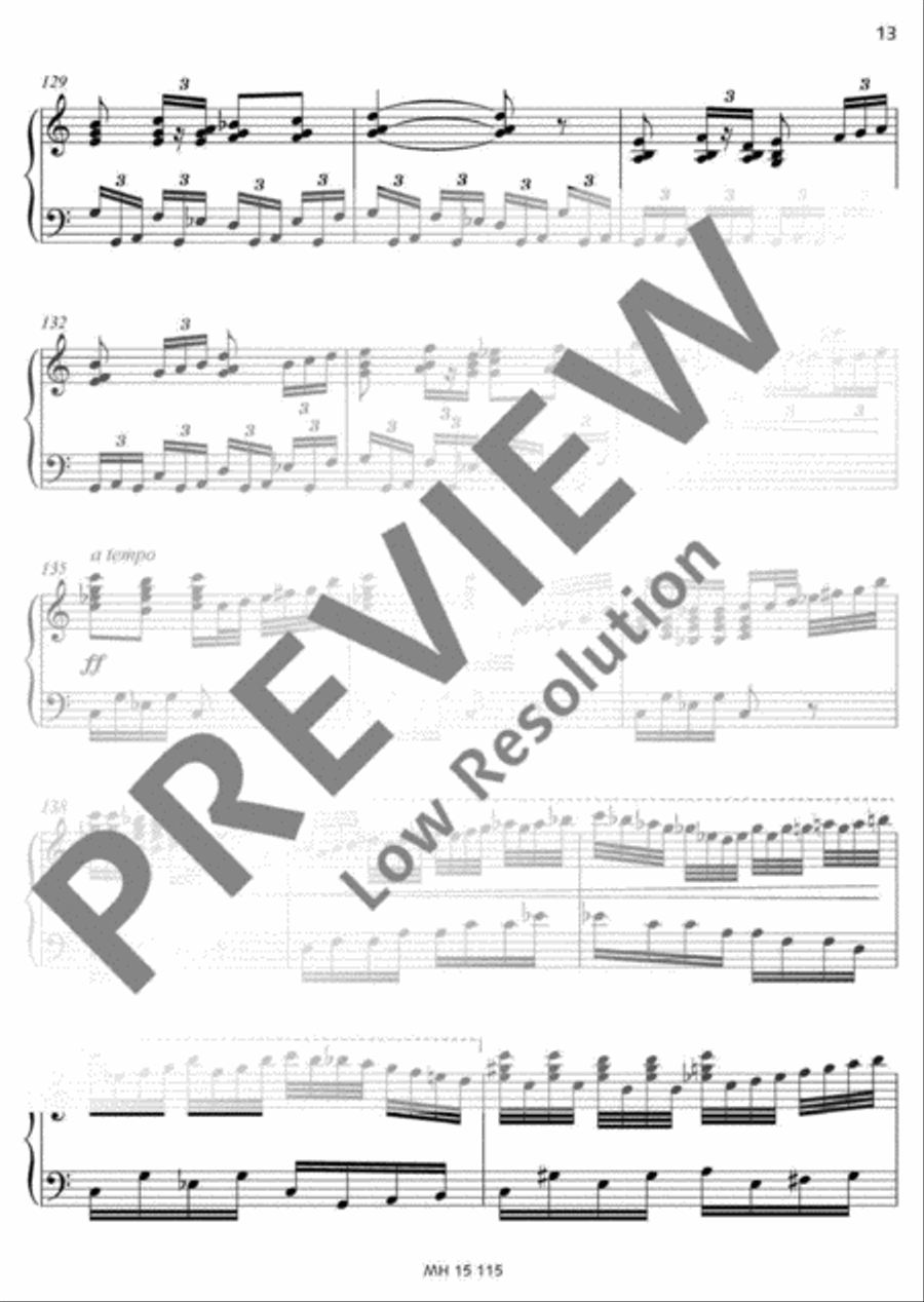 Sommer-Mosaik Sommer-Mosaik Accordion scores gallery preview page 14