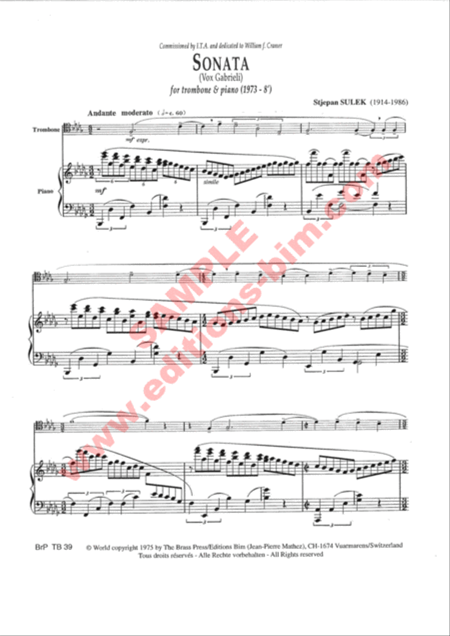 Sonata Piano Accompaniment scores gallery preview page 2