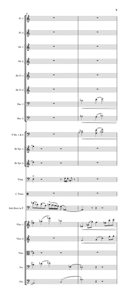 Concerto for Horn & Orchestra - Score Only image number null