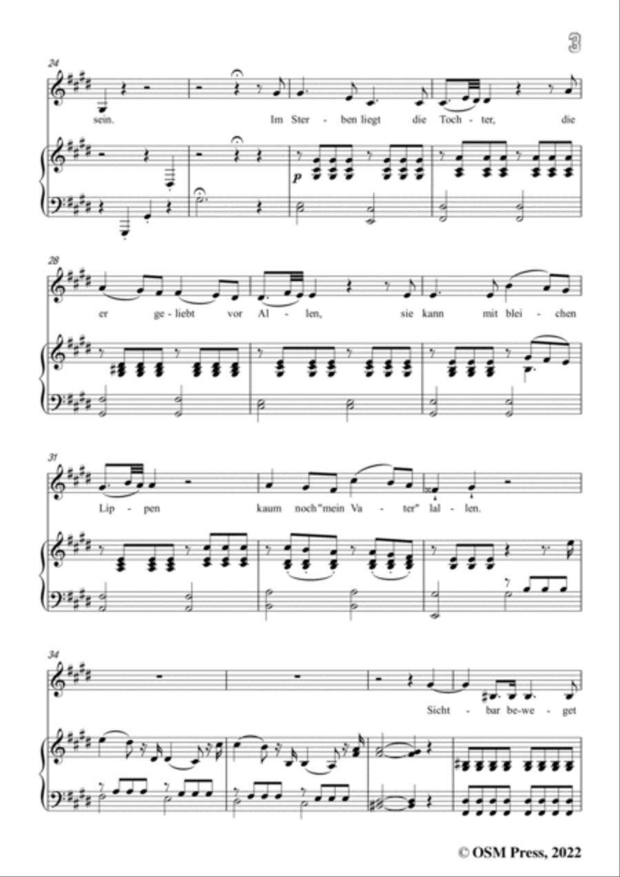 Loewe-Der selt'ne Beter,in c sharp minor,Op.141,for Voice and Piano Voice Solo scores gallery preview page 5