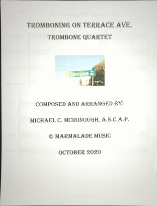 Book cover for Tromboning On Terrace Ave.