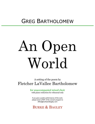 Book cover for An Open World