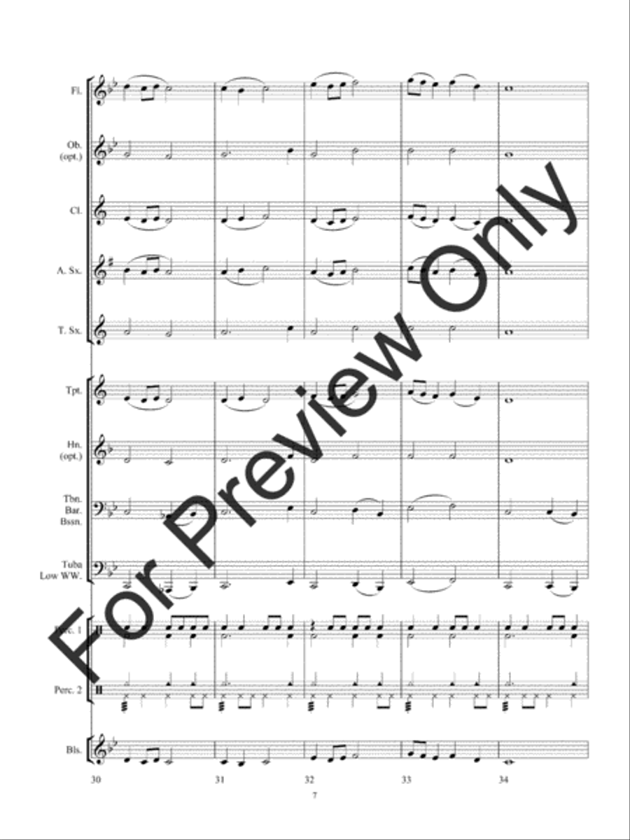 Chase Through The Midnight Forest Concert Band scores gallery preview page 10