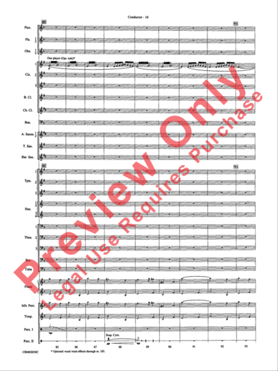 John Williams: Fantasy of Flight (Medley) Concert Band scores gallery preview page 19