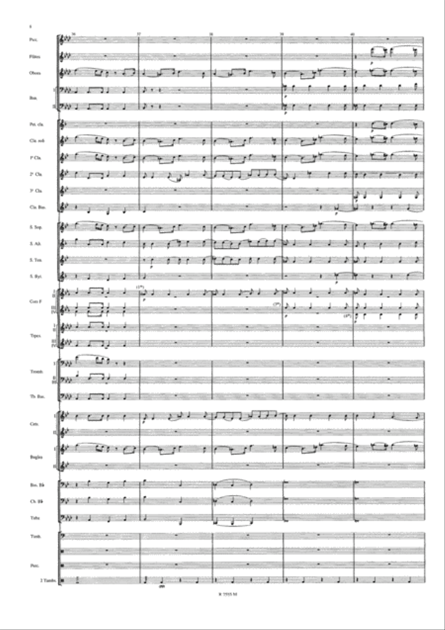Symphonie Funebre et Triomphale Concert Band scores gallery preview page 9