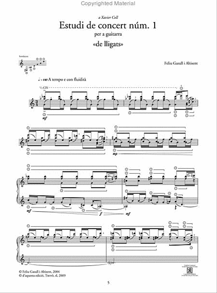 Estudi de concert núm. 1 Estudi de concert núm. 1 Guitar scores gallery preview page 2